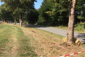 WhatsApp Image 2018-09-02 at 12.04.55 (2)