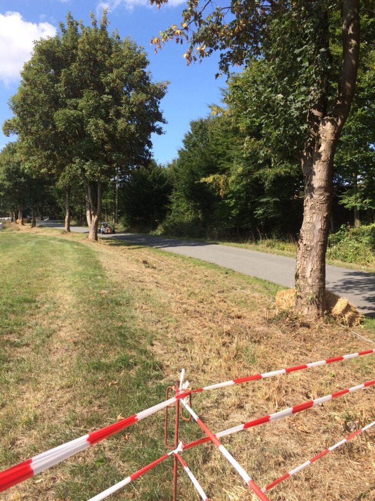 2018 - Seifenkistenrennen Schwaney